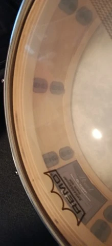 Pearl Special Reserve 14x5
