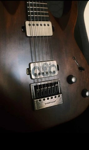 Solar A1.6D Custom 2024 with Bare Knuckle Pick-ups 