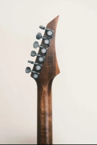 Solar A1.6D Custom 2024 with Bare Knuckle Pick-ups 