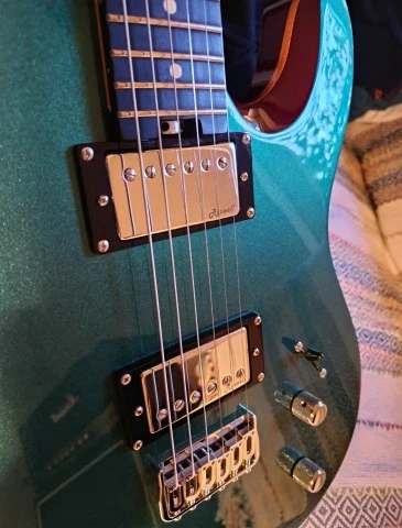 Harley Benton Fusion T HH HT EB