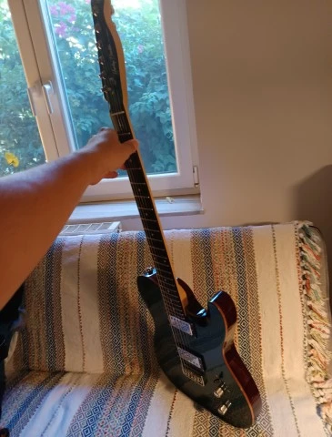 Harley Benton Fusion T HH HT EB