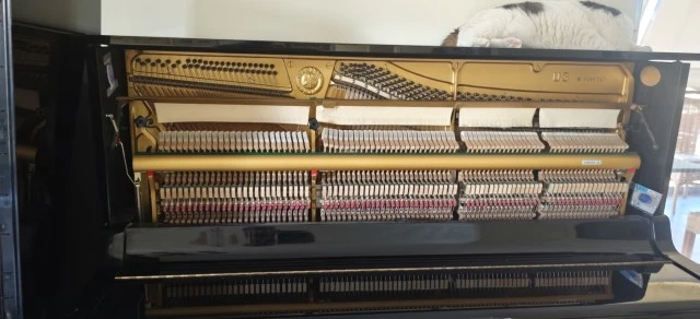 Πιάνο Yamaha U3