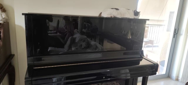 Πιάνο Yamaha U3