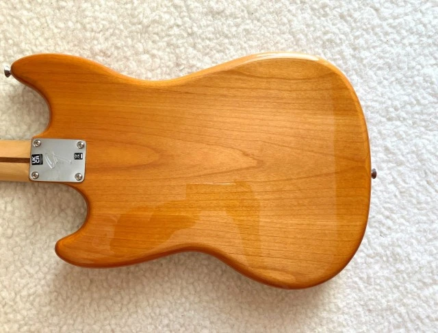 Fender Mustang Bass PJ PF AGN (Short Scale)
