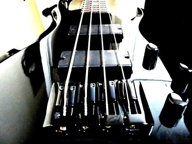 ESP LTD Tom Araya TA-334 Electric Bass G