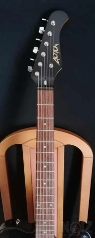 Action telecaster μαζι με θηκη