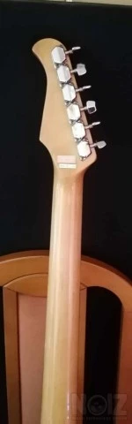 Action telecaster μαζι με θηκη