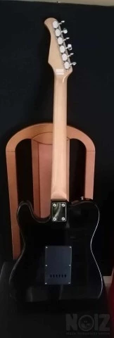 Action telecaster μαζι με θηκη