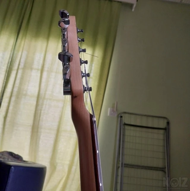 G&amp;L Asat Delux Tribute Series