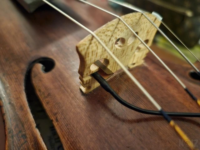 Fishman V-200-PICKUP Body Κάψα