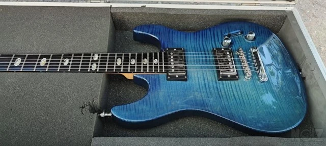 Framus Camarillo Custom '07 & δερμάτ