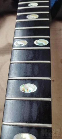 Framus Camarillo Custom '07 &amp; δερμάτ