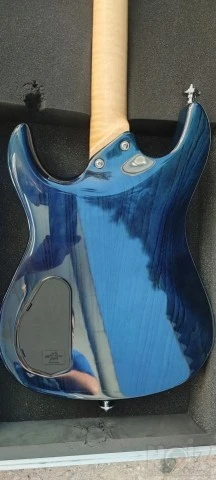 Framus Camarillo Custom '07 &amp; δερμάτ