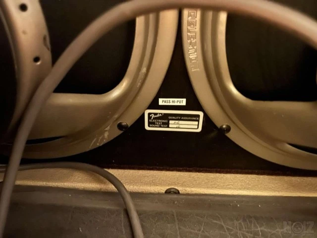 Fender Dual Professional