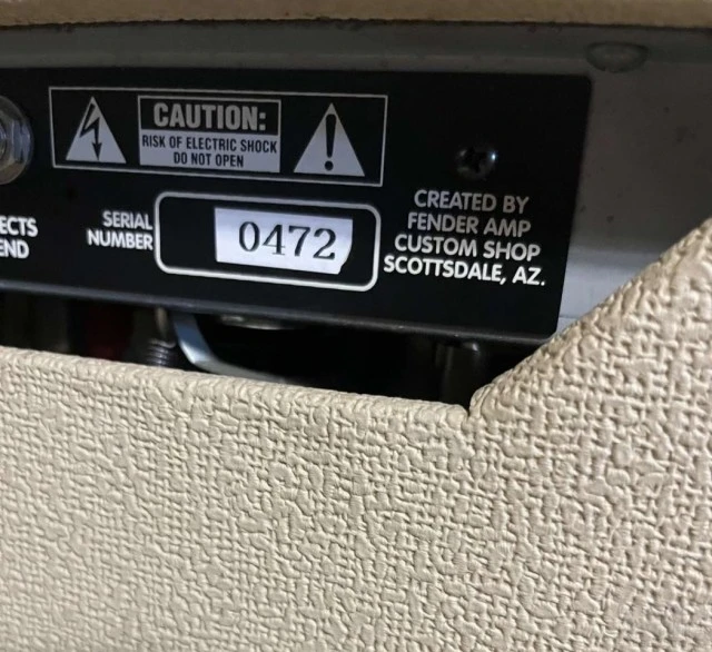 Fender Dual Professional