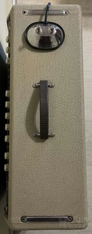 Fender Dual Professional