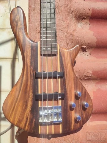 Washburn Taurus bass