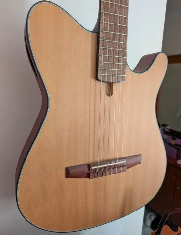 Ηλεκτροκλασική Κιθάρα Ibanez FRH10N-NTF
