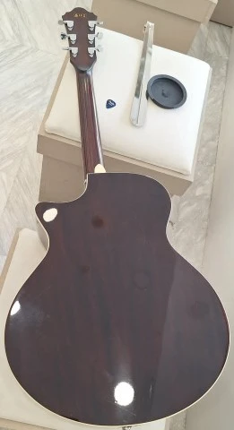 IBANEZ AE205BS