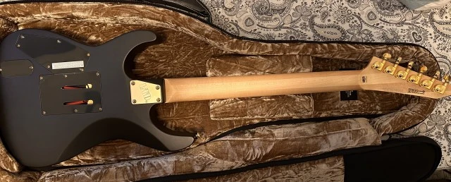 ESP LTD Deluxe M-1001