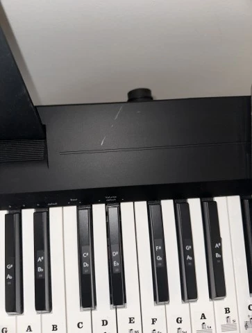 Yamaha P-145