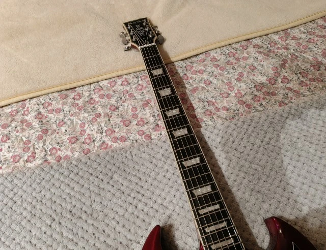 Harley Benton DC-Custom II