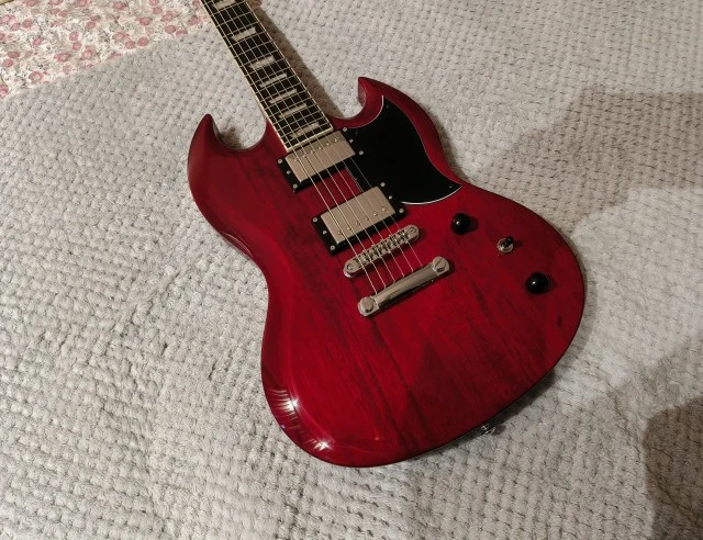Harley Benton DC-Custom II
