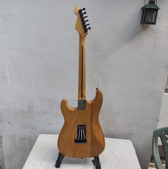 Custom Stratocaster Partcaster