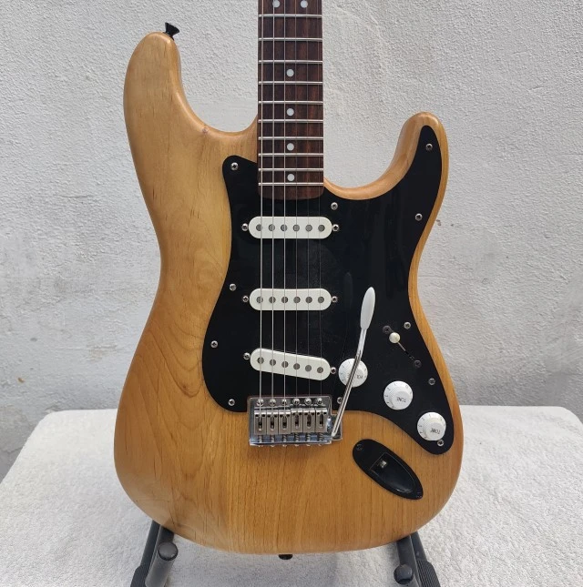 Custom Stratocaster Partcaster