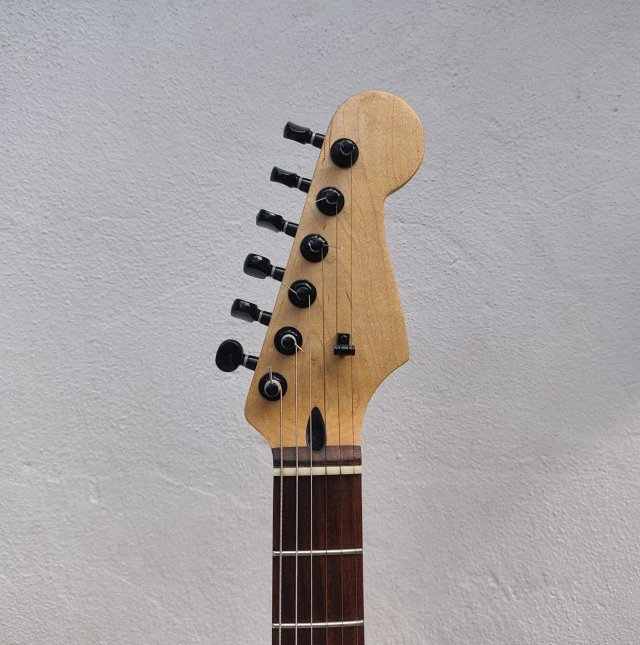 Custom Stratocaster Partcaster