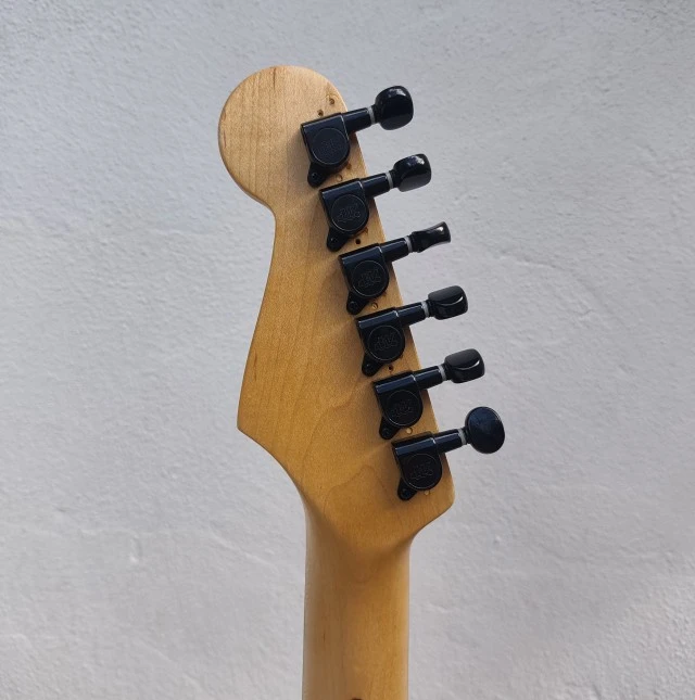 Custom Stratocaster Partcaster