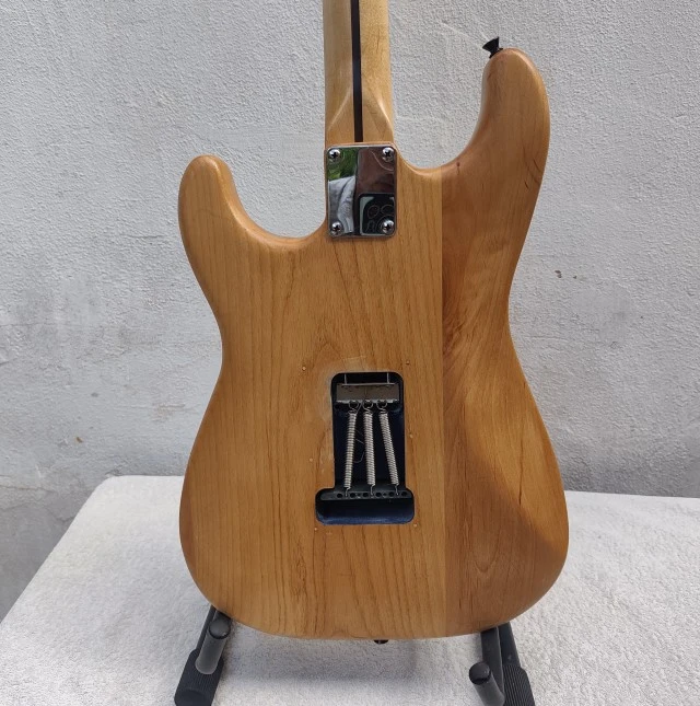 Custom Stratocaster Partcaster