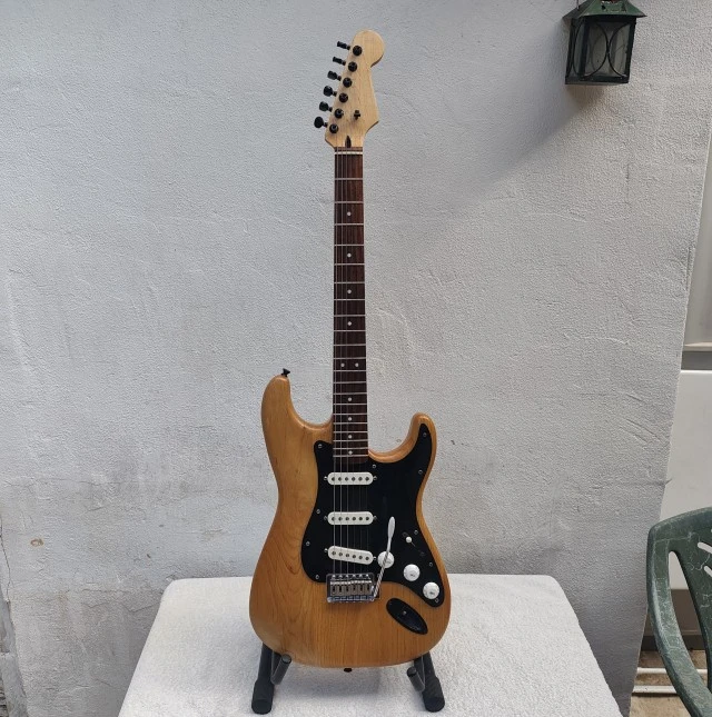 Custom Stratocaster Partcaster