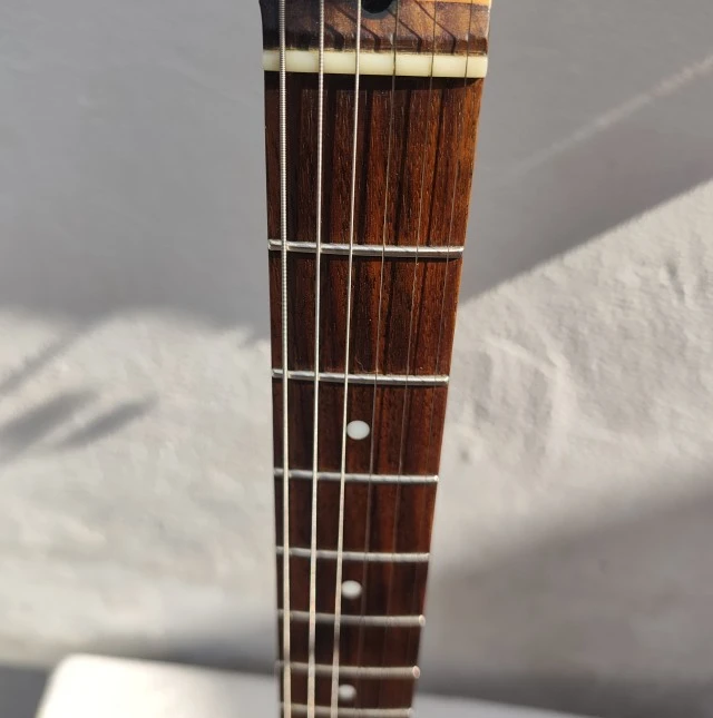 Custom Stratocaster Partcaster