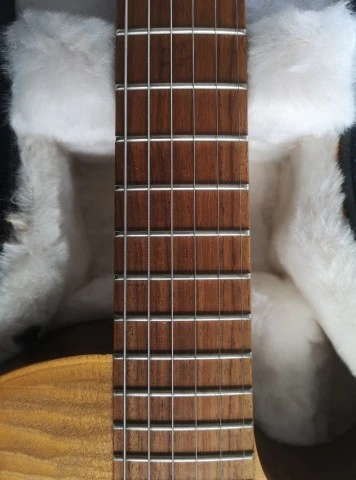 Gibson Les Paul BFG