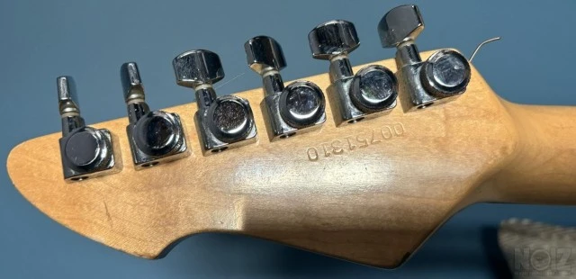 PEAVEY T-60