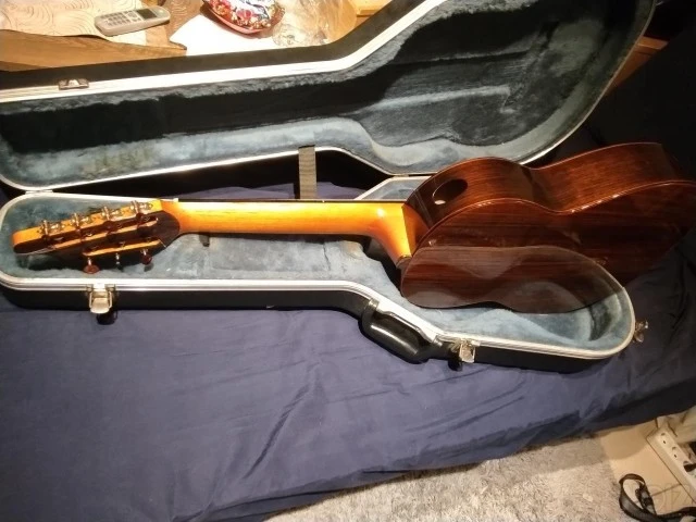 Neris Gonzalez jp+7 milagro