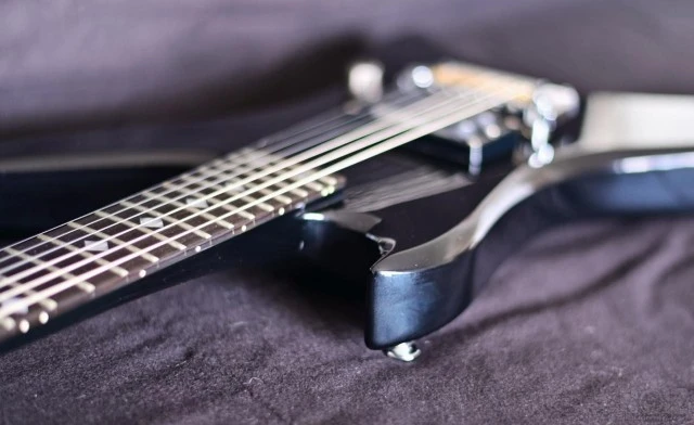 Bc rich chuck schuldiner stealth