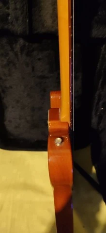Blade Levinson model Thin Line..