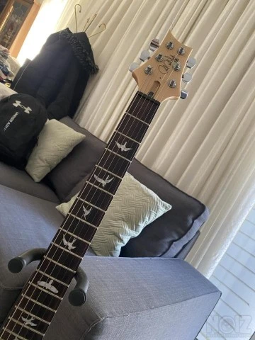 2019 PRS SE CUSTOM 24 TRAMPAS GREEN