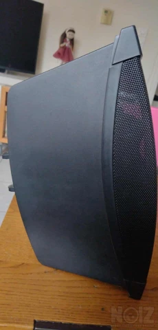 BOSE DS 100CE