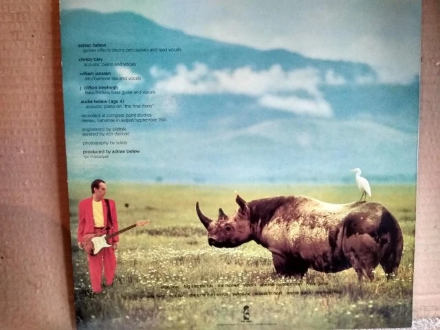 ADRIAN BELEW: LONE RHINO