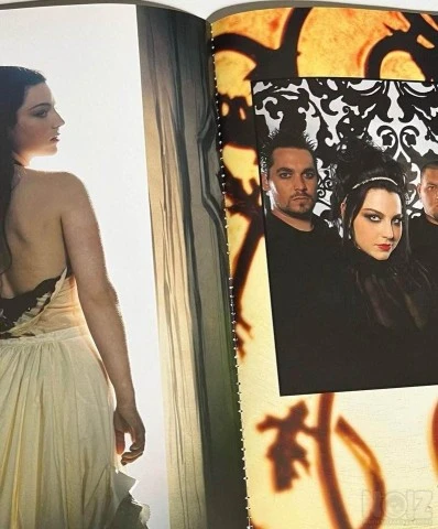 Πωλείται γνήσιο βιβλίο Evanescence The o