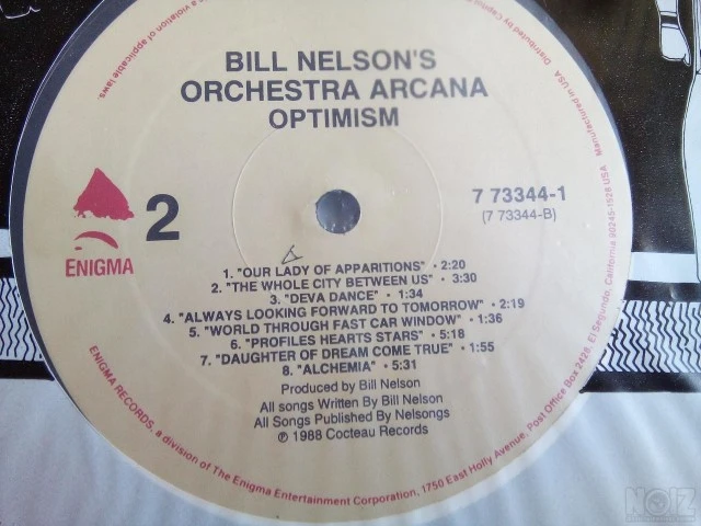BILL NELSON'S ORCHESTRA ARKANA: OPTIMISM