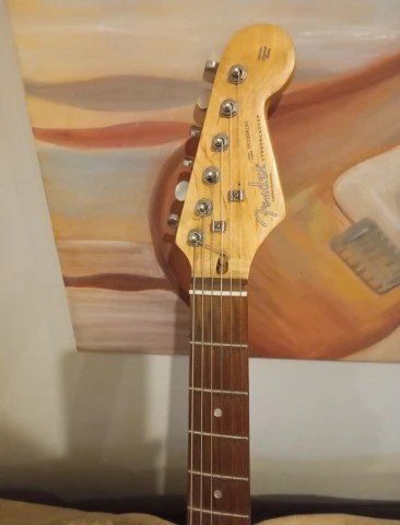 aria pro2 stradocaster
