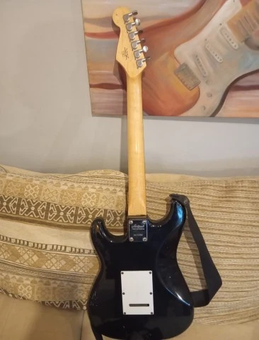 aria pro2 stradocaster