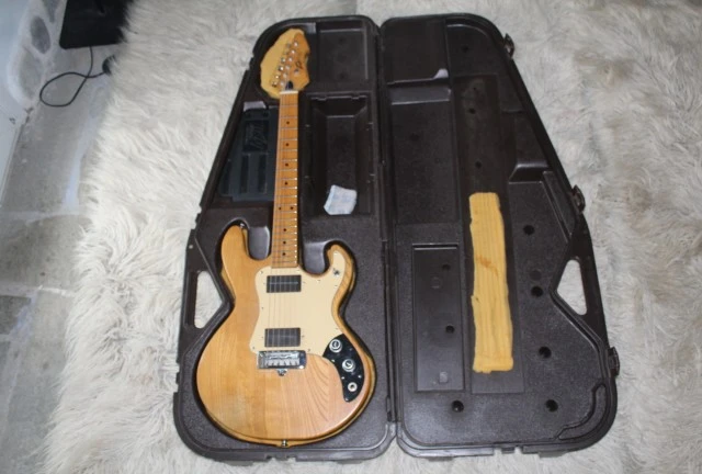 PEAVEY T 15