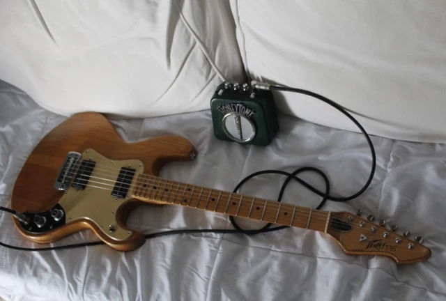 PEAVEY T 15