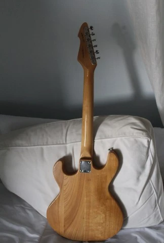PEAVEY T 15