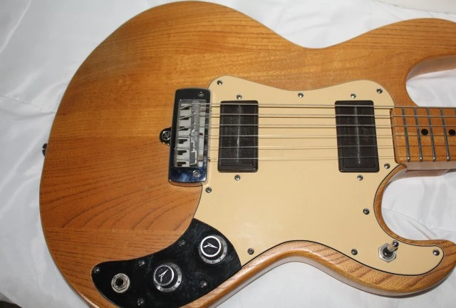 PEAVEY T 15